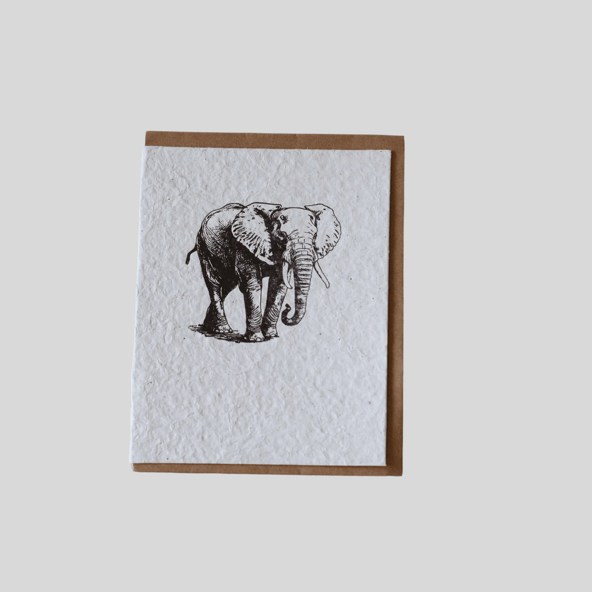 Elephant Wildlife Greeting Card